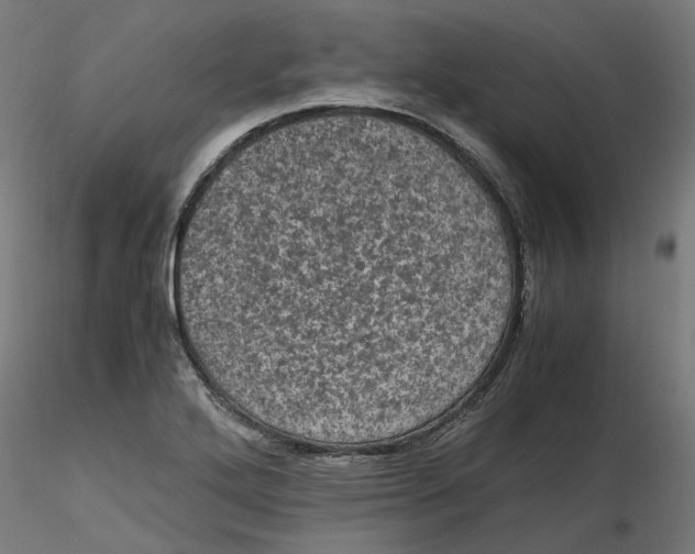 X0000116761272201001071148