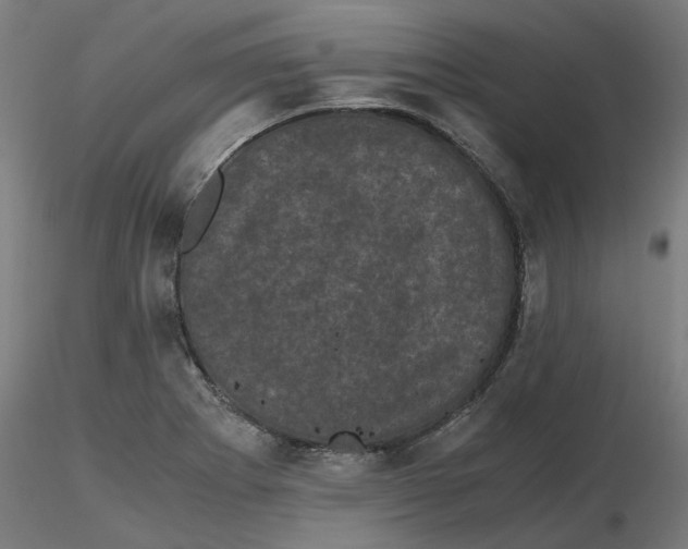 X0000116761273201001071148