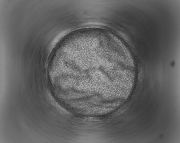 X0000116761275201001071147