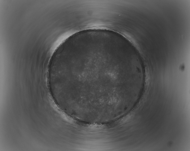 X0000116761277201001071147