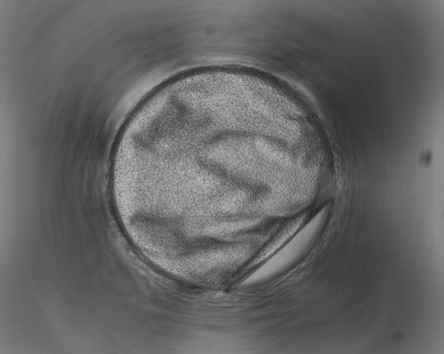 X0000116761279201001071147