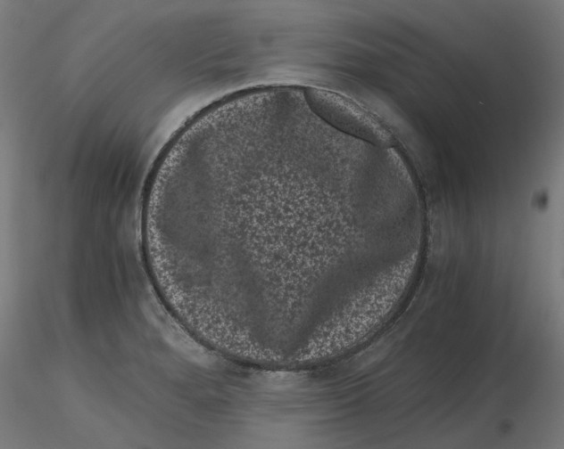 X0000116761280201001071147