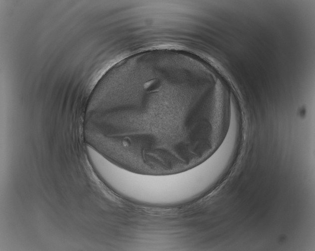 X0000116761281201001071147