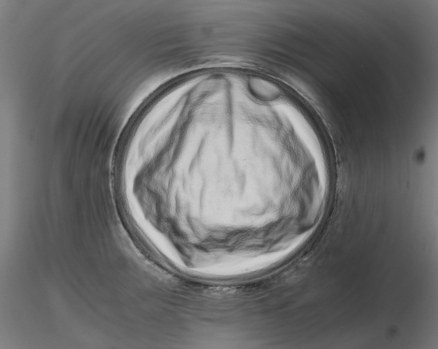 X0000116761283201001071147