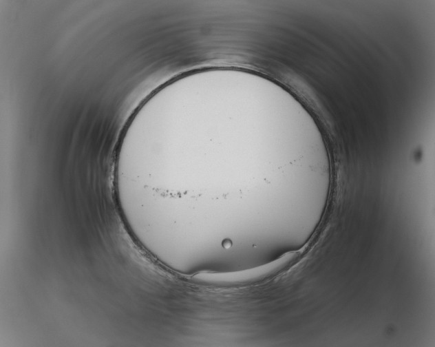 X0000116761284201001071147