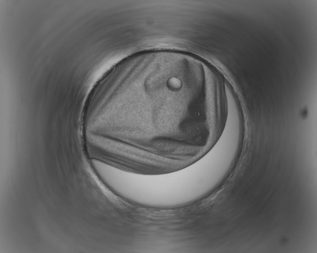 X0000116761285201001071147