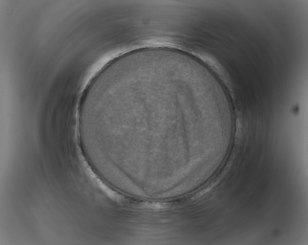 X0000116761286201001071147