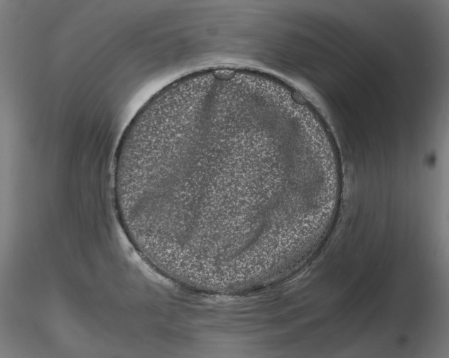 X0000116761287201001071147