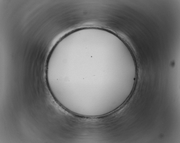 X0000116761288201001071147