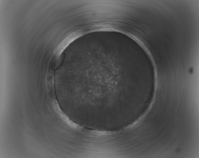 X0000116761289201001071147