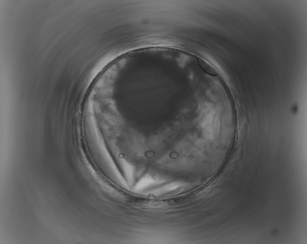 X0000116761291201001071147