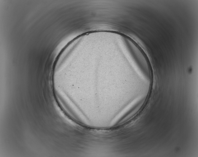 X0000116761293201001071147