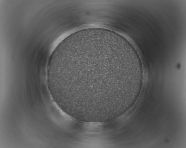 X0000116761294201001071147