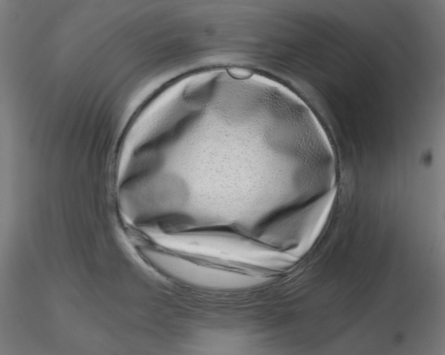 X0000116761295201001071147