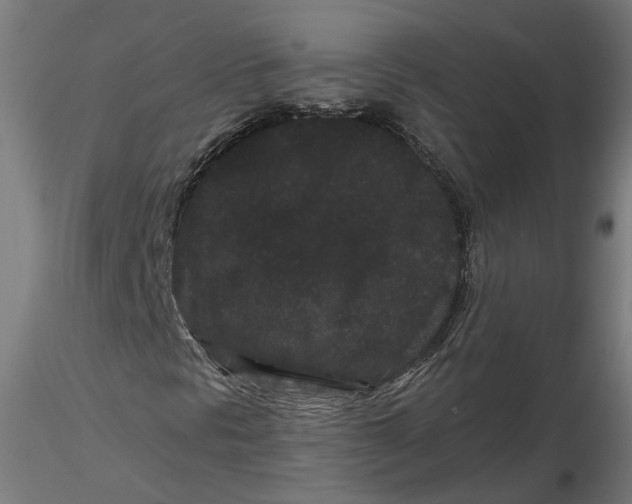 X0000116761297201001071147