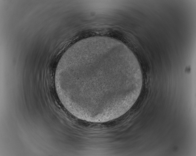 X0000116761298201001071147