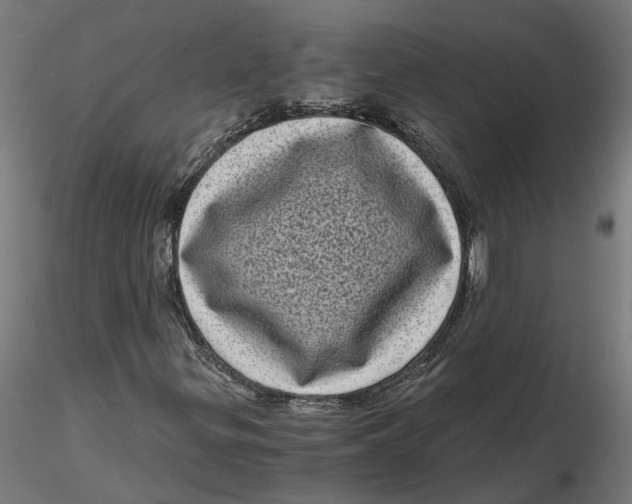 X0000116761299201001071147