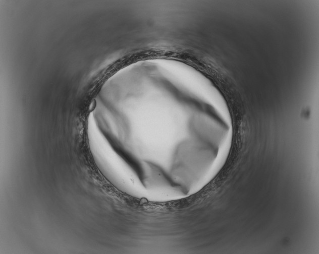 X0000116761302201001071147