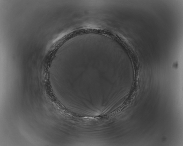 X0000116761303201001071147