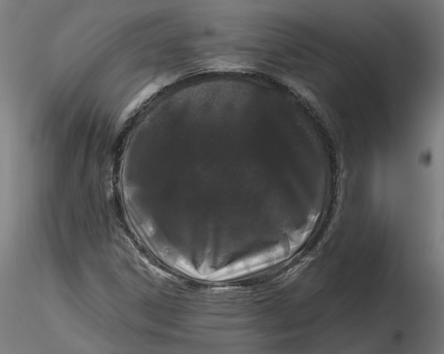 X0000116761306201001071147