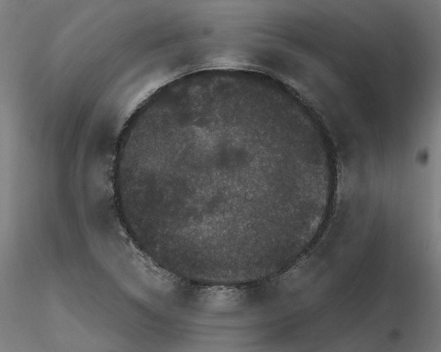 X0000116761314201001071147