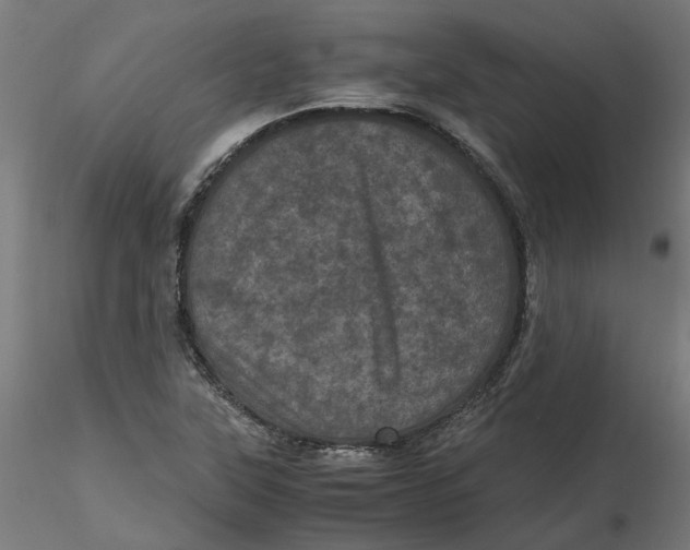 X0000116761315201001071147