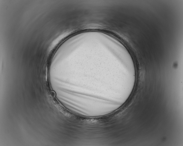 X0000116761317201001071147