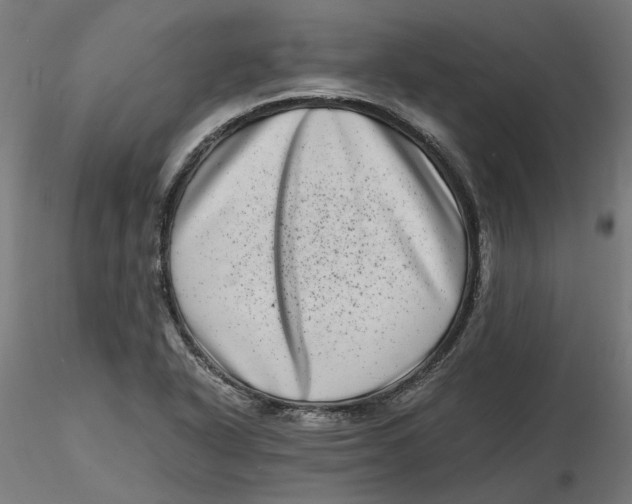 X0000116761318201001071147