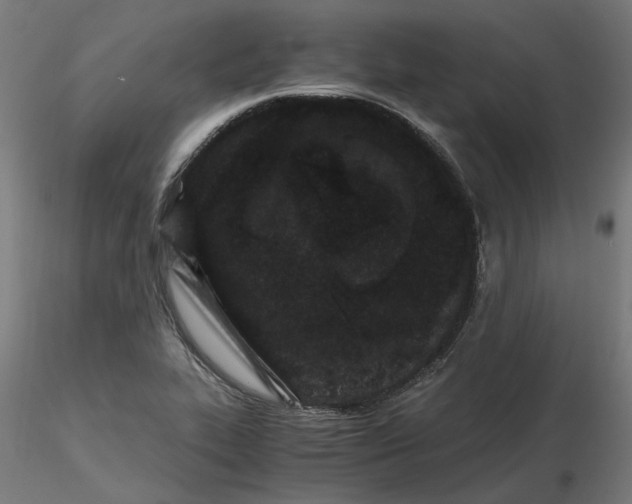 X0000116761319201001071147