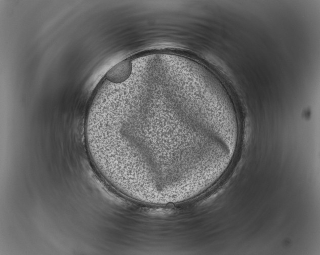 X0000116761321201001071147