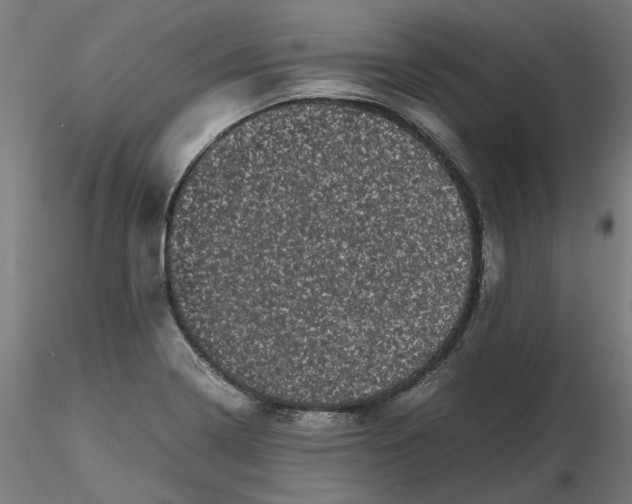 X0000116761322201001071147