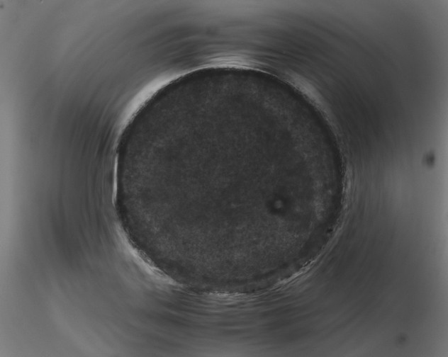 X0000116761323201001071147