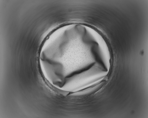 X0000116761325201001071147