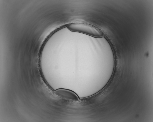 X0000116761326201001071147