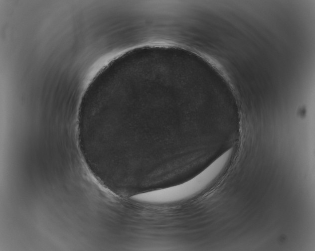 X0000116761327201001071147