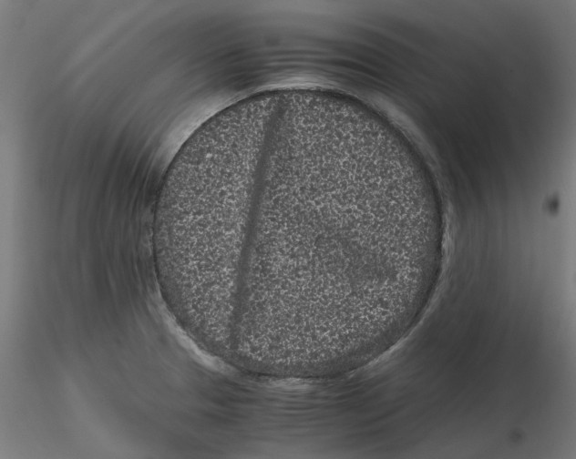 X0000116761329201001071147