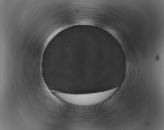 X0000116761331201001071147