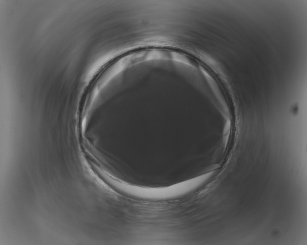 X0000116761334201001071147