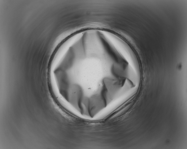 X0000116761335201001071147