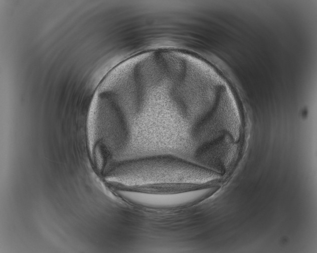 X0000116761337201001071147