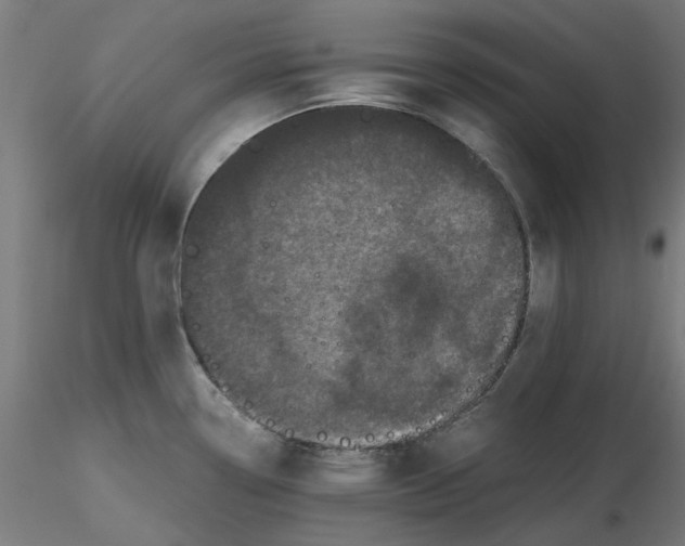 X0000116761338201001071147