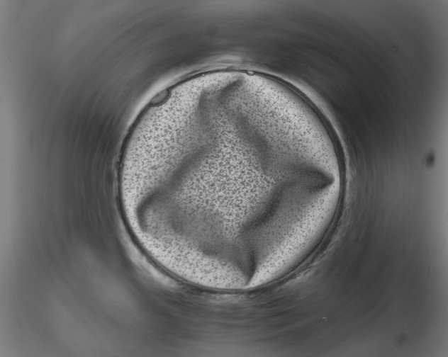 X0000116761341201001071147