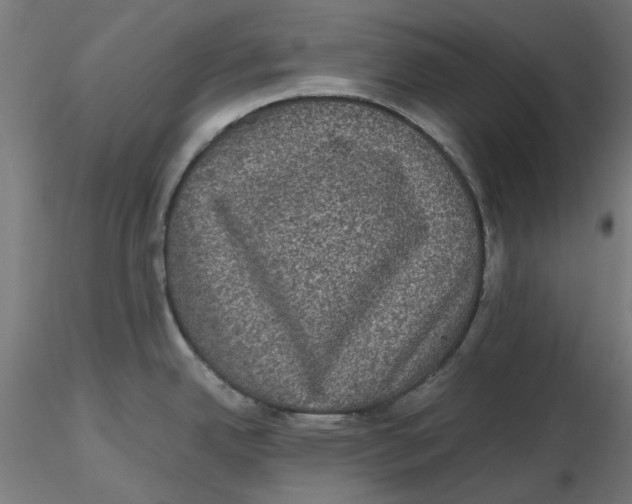 X0000116761342201001071147