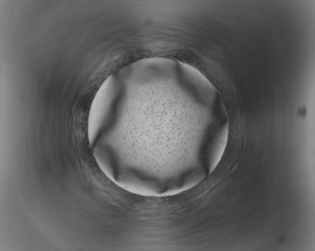 X0000116761346201001071147