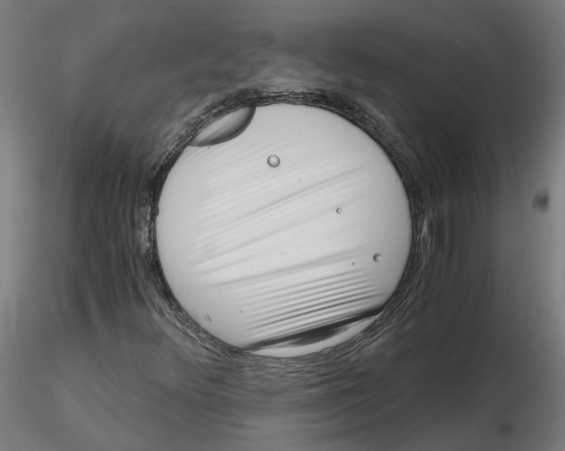 X0000116761348201001071146