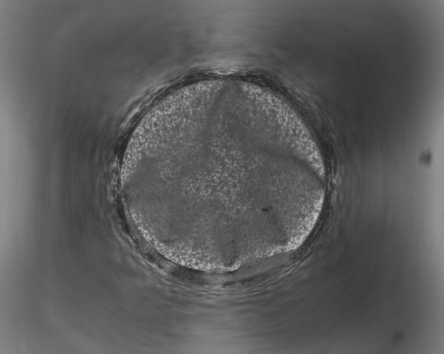 X0000116761349201001071146