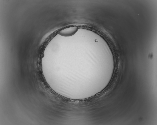 X0000116761352201001071146