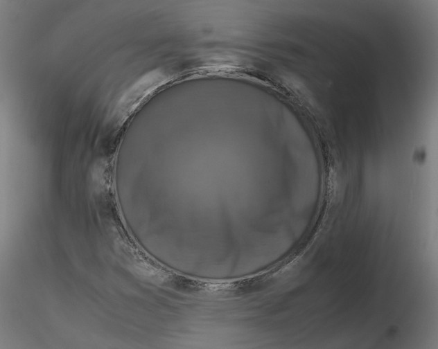 X0000116761353201001071146