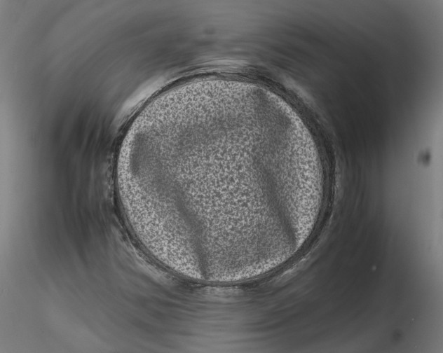 X0000116761354201001071146