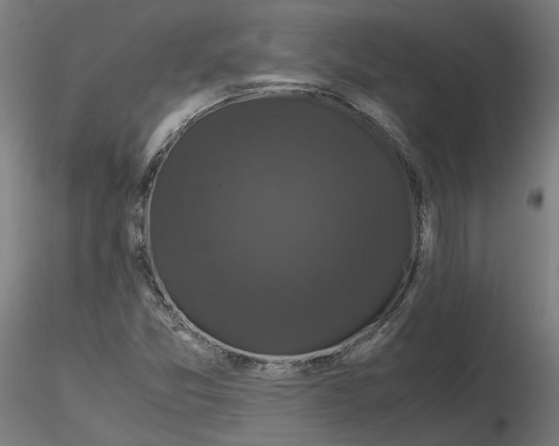 X0000116761357201001071146